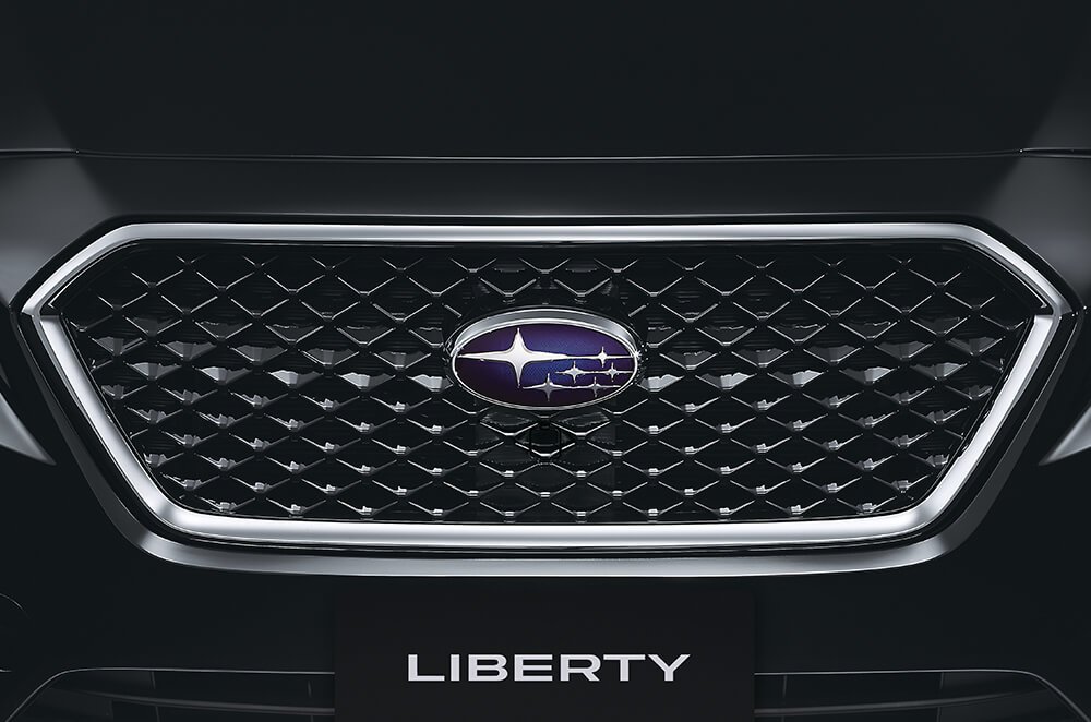 Front Grille (With Camera Cover)