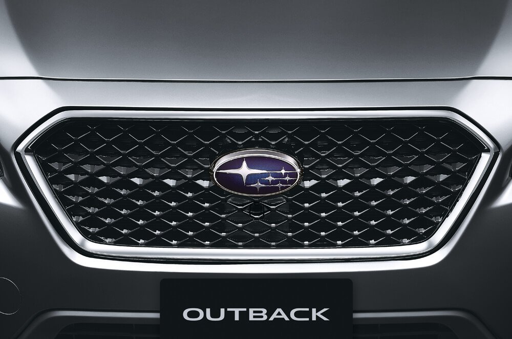 Front Grille (With Camera Cover)