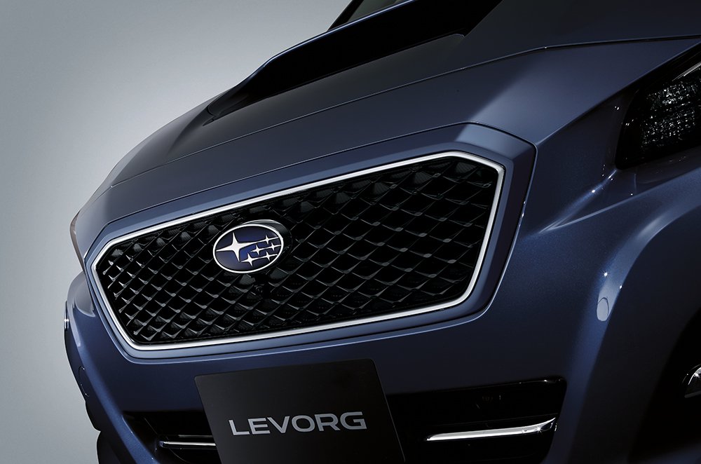 Front Grille (Mesh Type) 