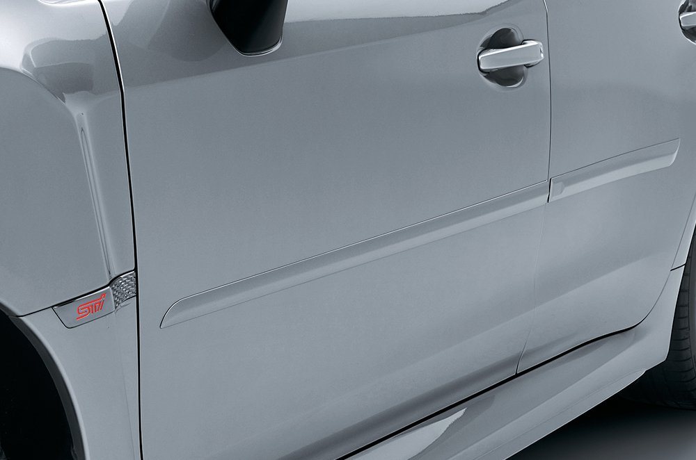 Body Side Moulding (Painted)