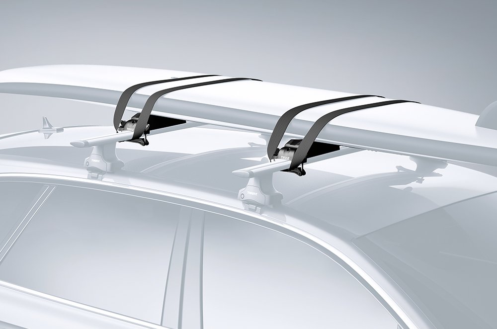 Thule Paddleboard & Mal Carrier