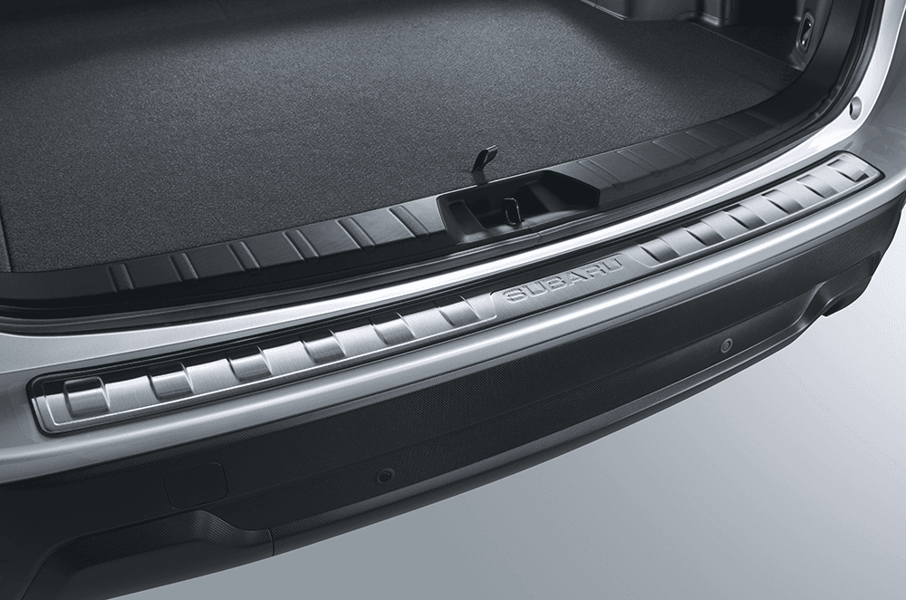 Cargo Step Panel (Stainless)