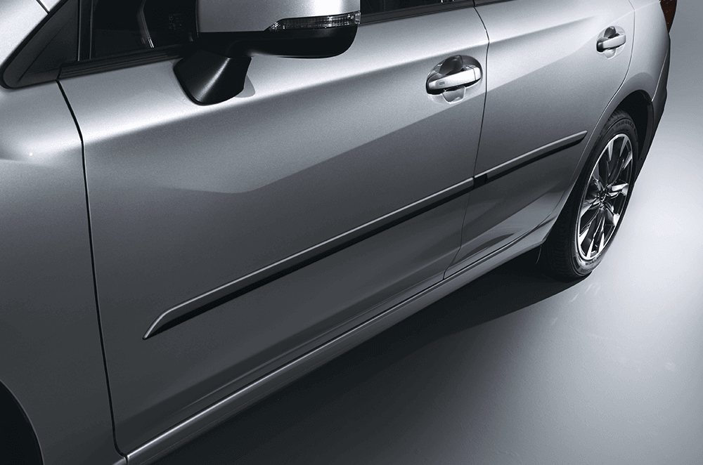 Body Side Moulding (painting required)