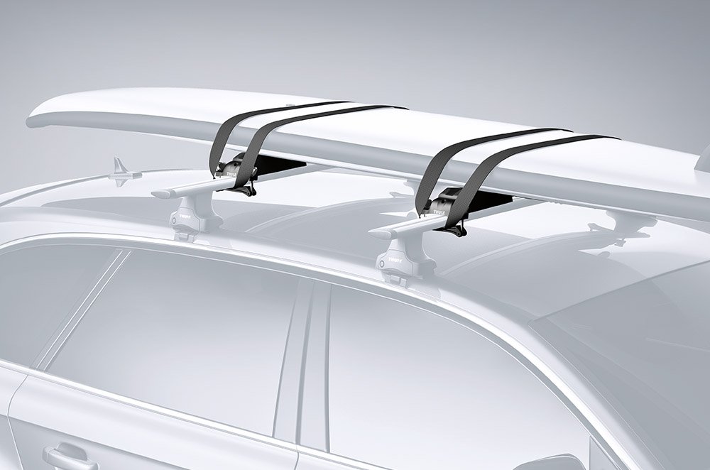 Thule Paddleboard & Mal Carrier