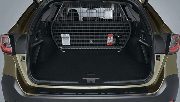 Cargo Barrier