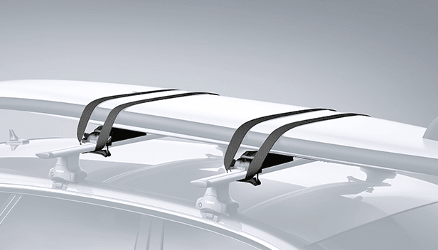 Thule Paddleboard & Mal Carrier