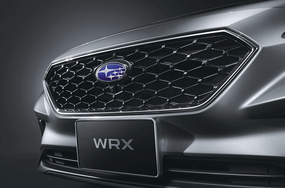 Front Grille WGN