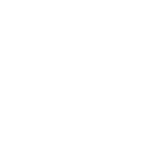 chat icon