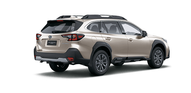 Rear View of Storm Grey Metallic Subaru Outback