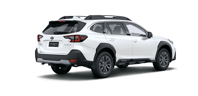 Rear View of Autumn Green Metallic Subaru Outback